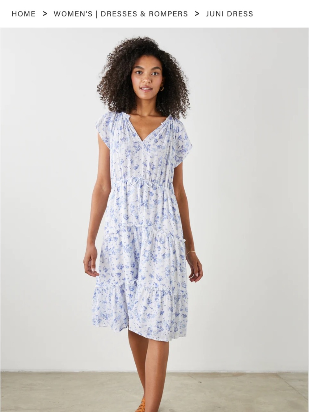 Rails Juni Dress in Blue Blossoms